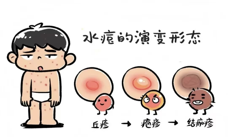 40c06647c4f05af72f52245c742338cb.png